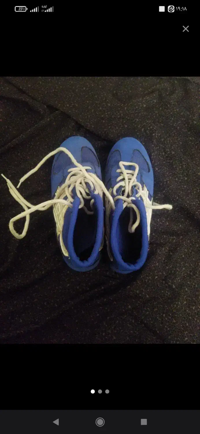 کفش کشتی|کیف، کفش، کمربند|قم, شهر قائم|دیوار