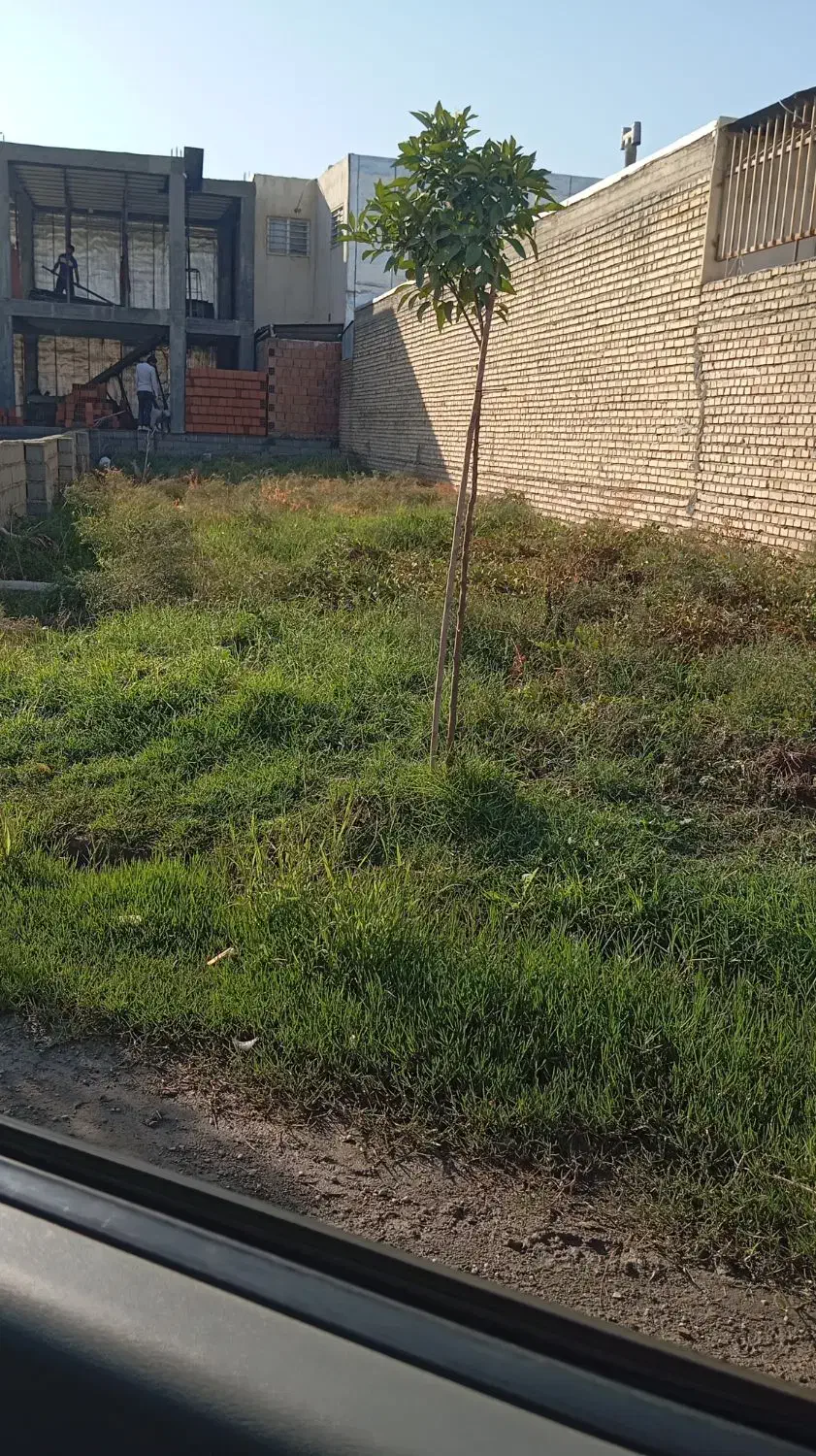 حیاط|فروش زمین و ملک کلنگی|گنبد کاووس, |دیوار