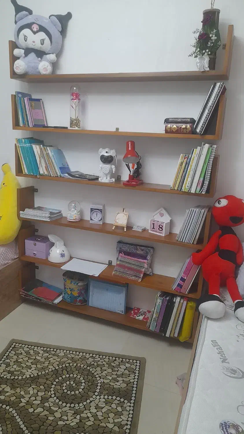 کتابخانه|کتابخانه، شلف، قفسه‌های دیواری|قزوین, |دیوار