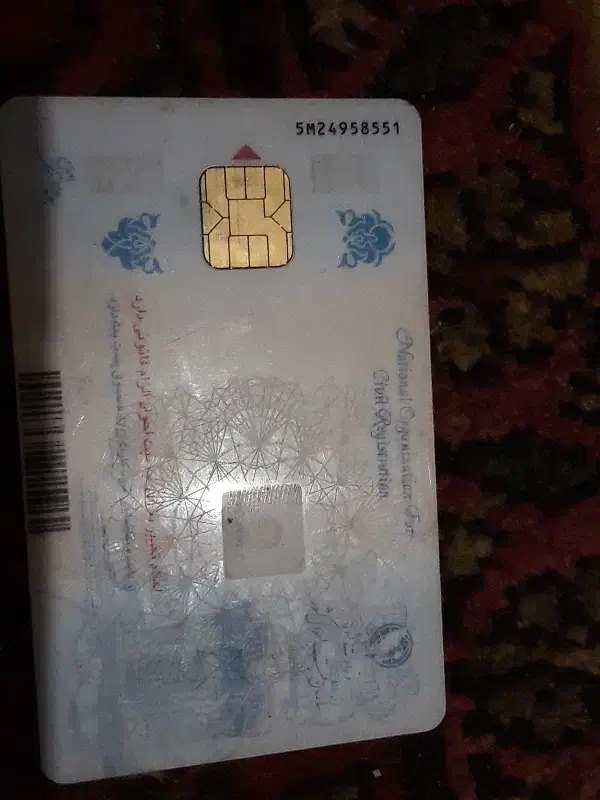 مدارک گمشده|اشیا|همدان, |دیوار