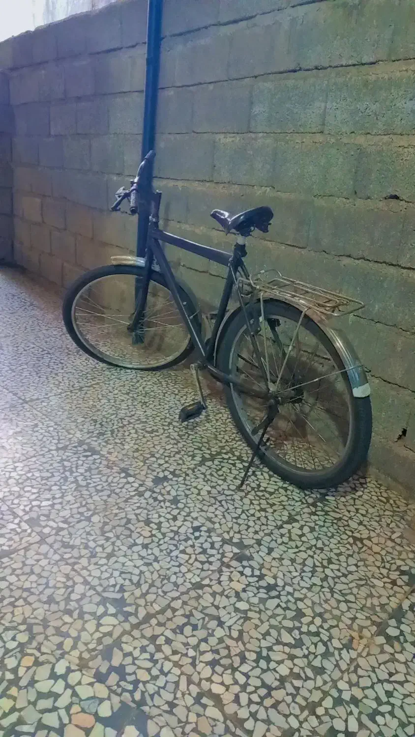 دوچرخه بزرگ|دوچرخه، اسکیت، اسکوتر|کومله, |دیوار