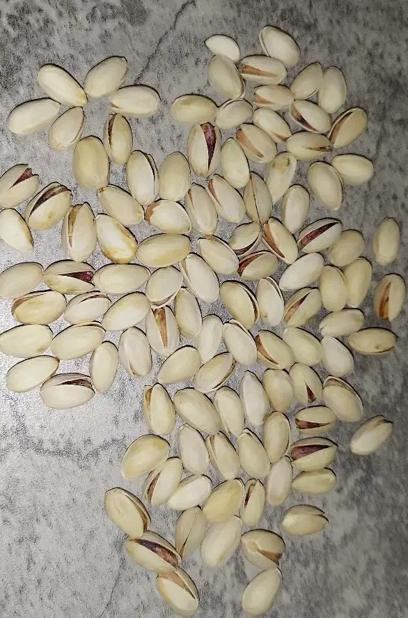 خوردنی|خوردنی و آشامیدنی|قم, چهار امامزاده|دیوار