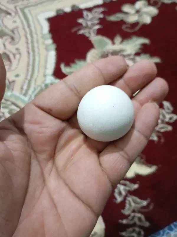 سنگ اسیاب الماس|کلکسیون اشیاء عتیقه|کرمان, |دیوار