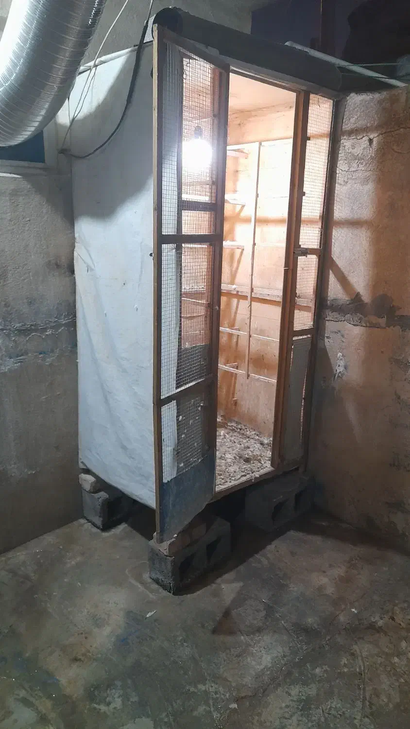 پرنده با قفس|پرنده|ایوان, |دیوار