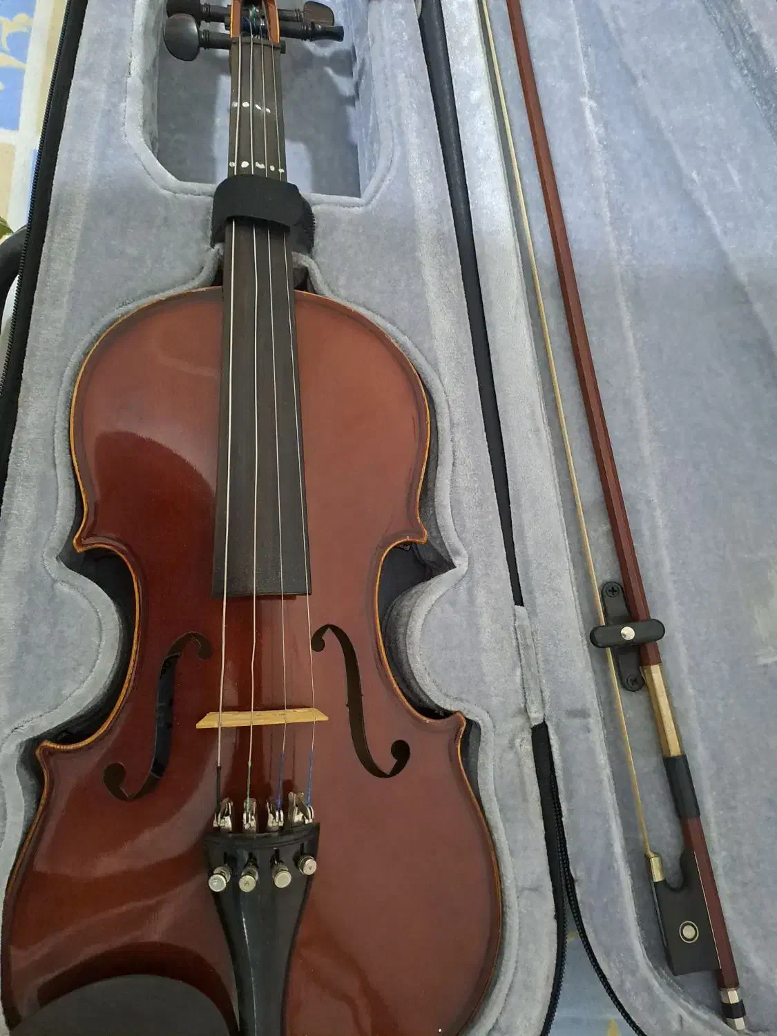 ویولن 4/4 TF|ویولن|کرج, شهرک رازی (بنیاد)|دیوار