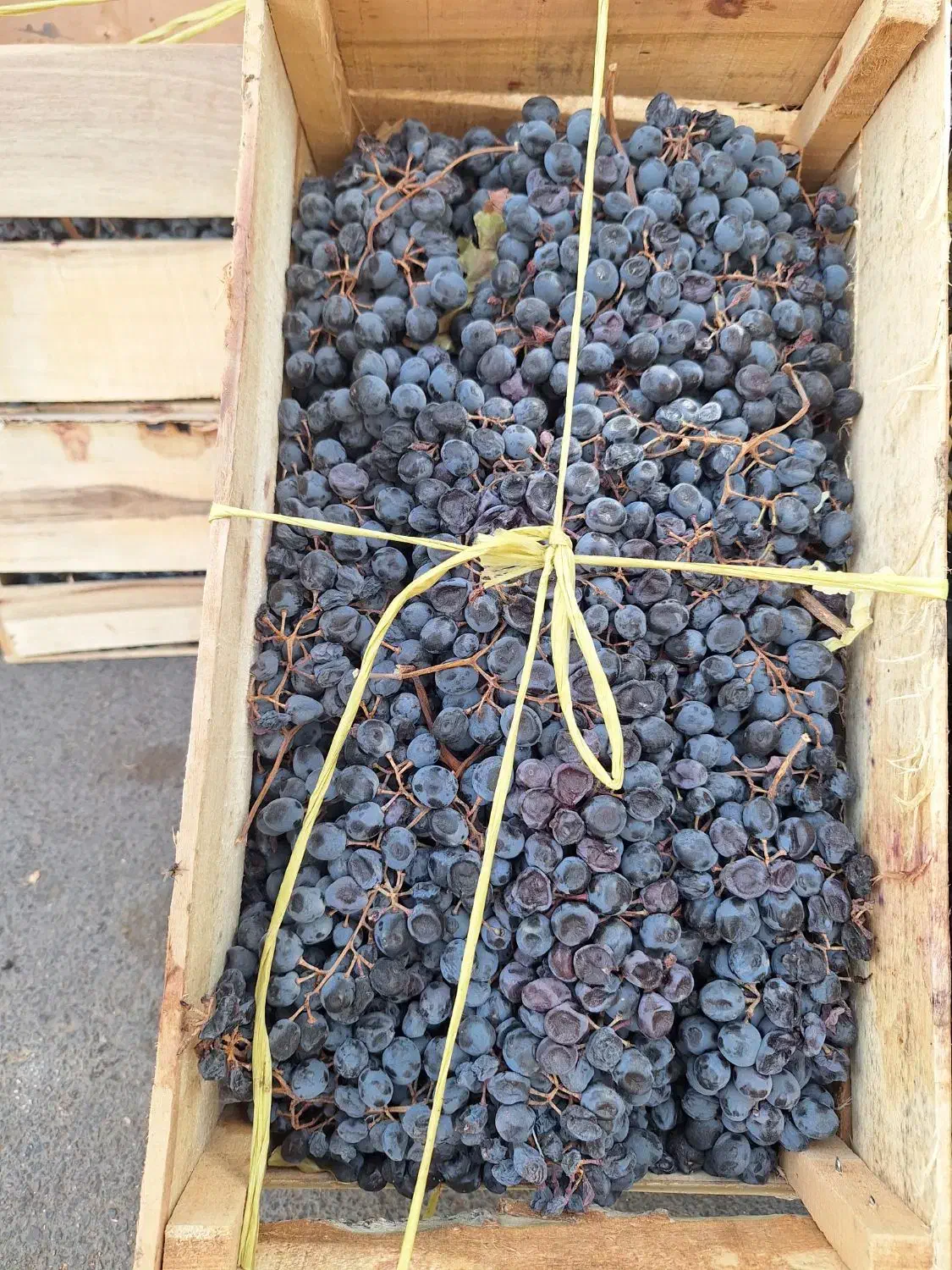 همکار شیفت شب برا میوه فروش|استخدام خدمات فروشگاه و رستوران|قزوین, |دیوار