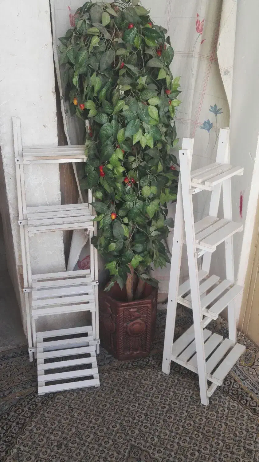 وسایل منزل|گل و گیاه طبیعی|جهرم, |دیوار