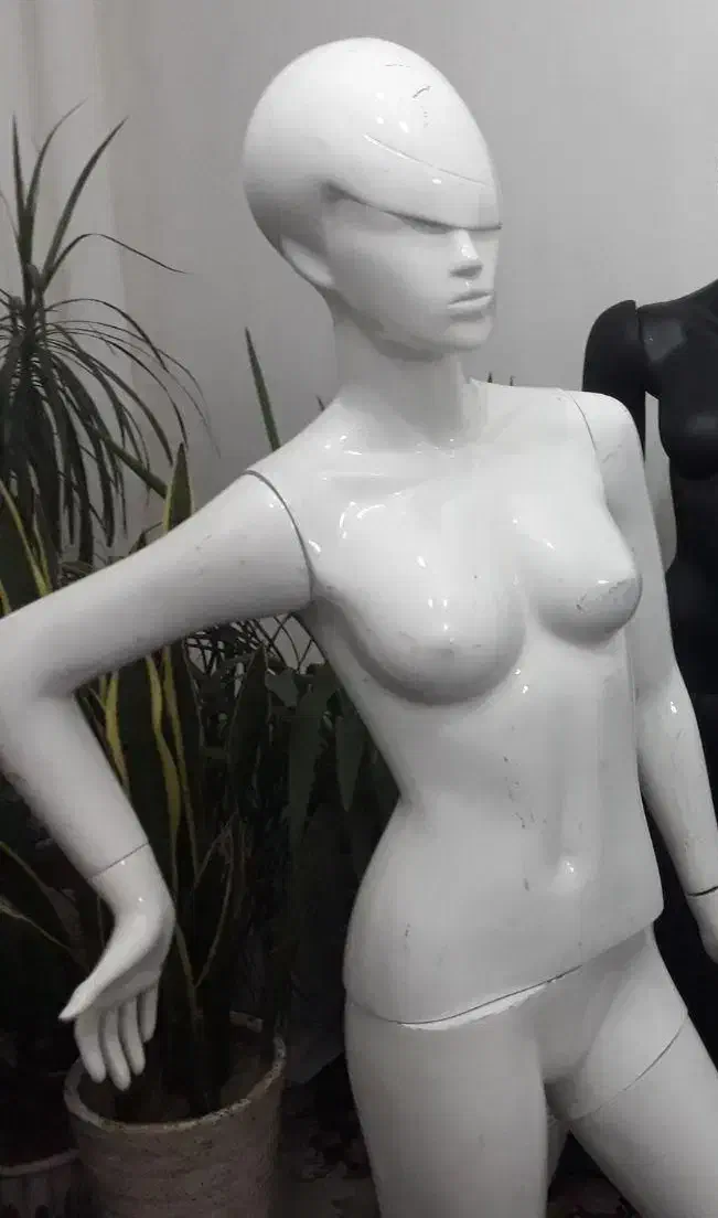 مانکن در حد نو|فروشگاه و مغازه|رباط‌کریم, نصیرشهر|دیوار