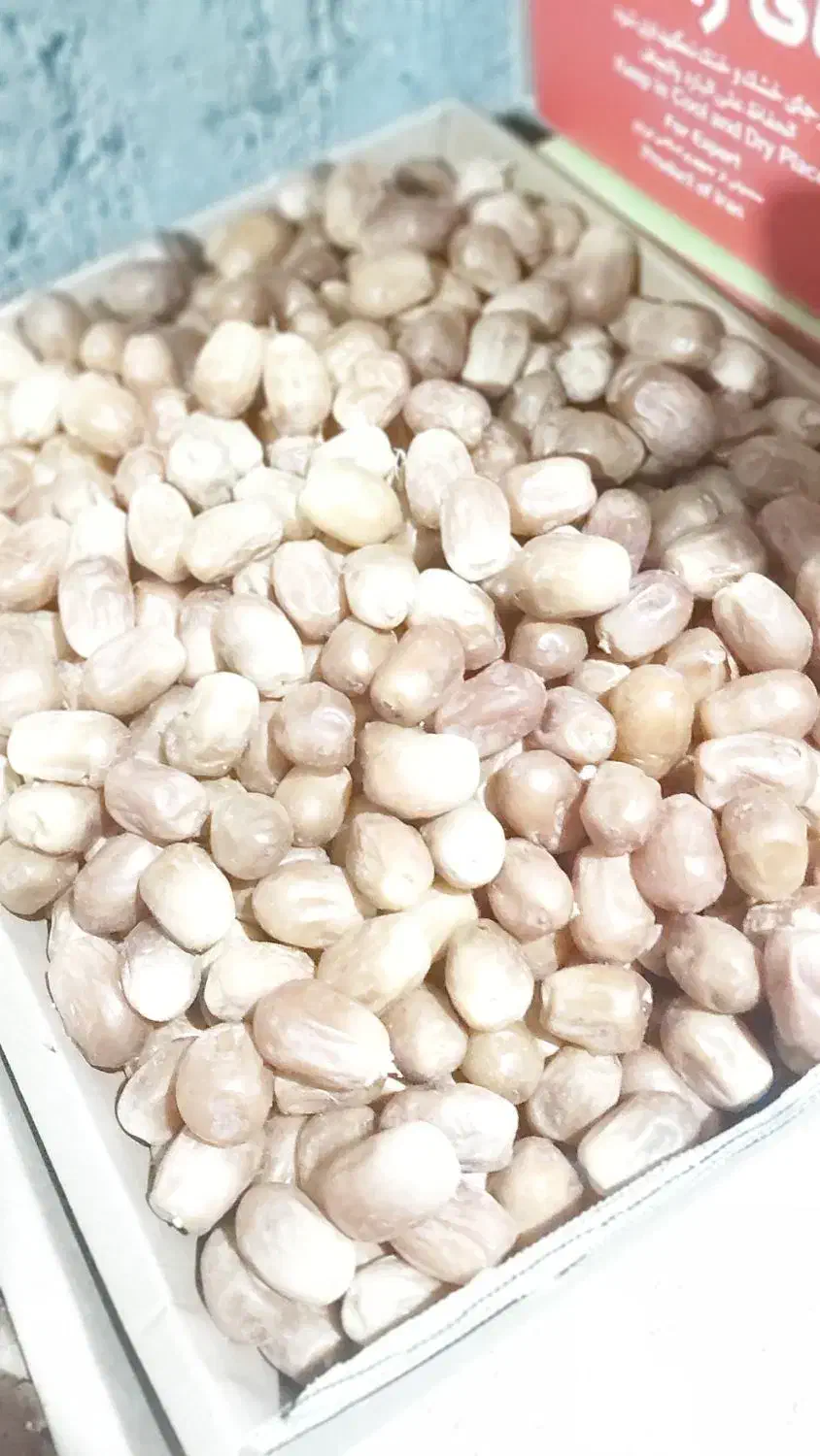 خرمای زاهدی درجه ۱ پشت کوه|خوردنی و آشامیدنی|بوشکان, |دیوار