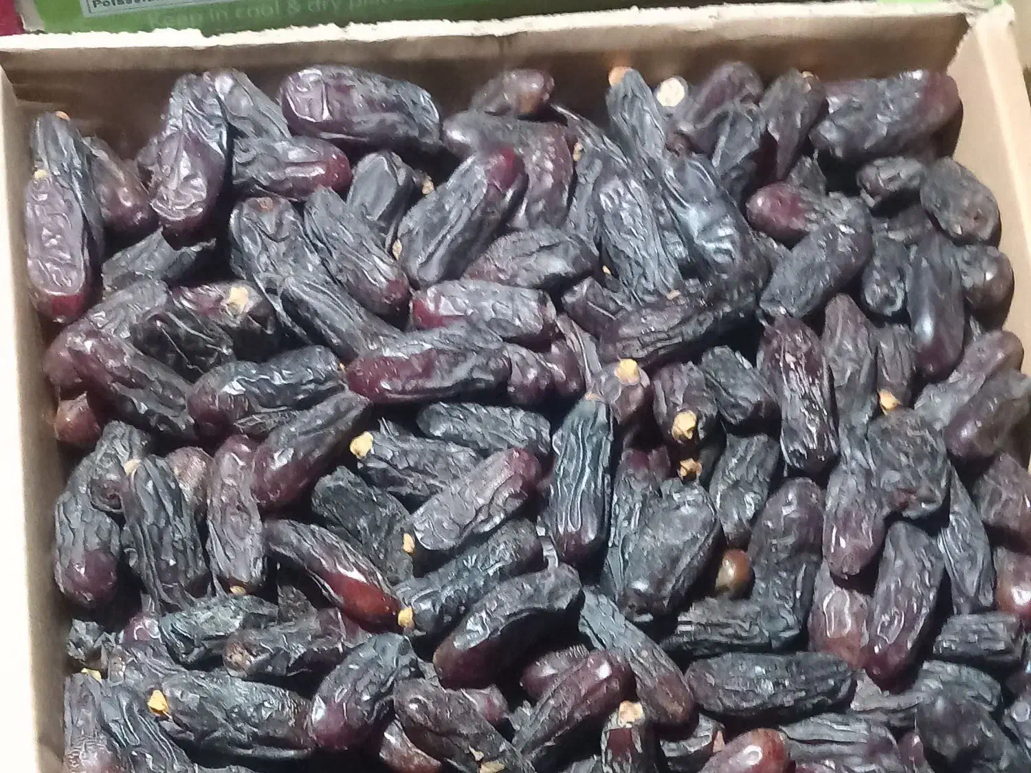 خرما ربی صادراتی|خوردنی و آشامیدنی|دامن, |دیوار