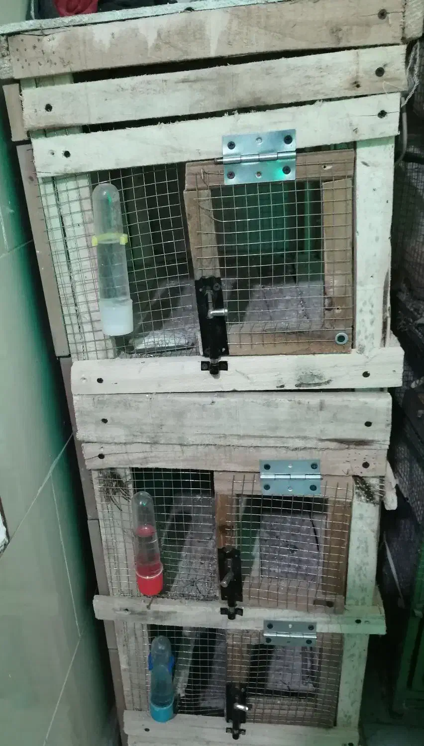 قفس جوبی|لوازم جانبی حیوانات|بندرعباس, |دیوار