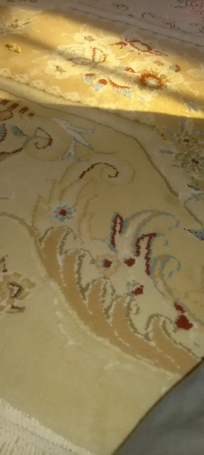 فروش فوری|فرش|سراوان, |دیوار