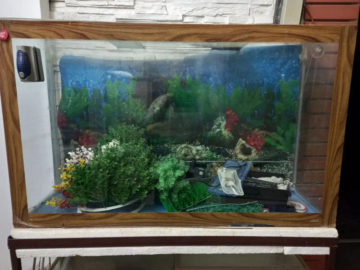 آکواریم|لوازم جانبی حیوانات|مشهد, امیریه|دیوار