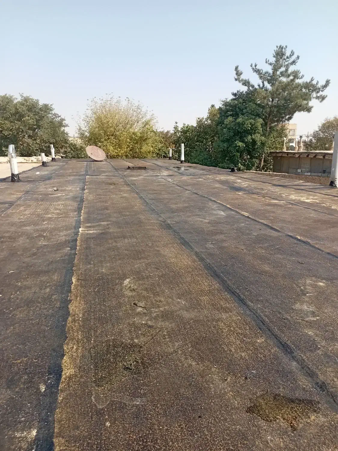 نصب و فروش ایزوگام شرق 6736لکه گیری حتی 1متر|خدمات پیشه و مهارت|مشهد, نوید|دیوار