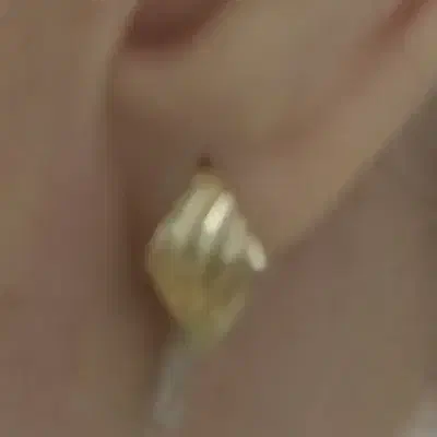 گوشلواره گم شده|اشیا|بجنورد, |دیوار