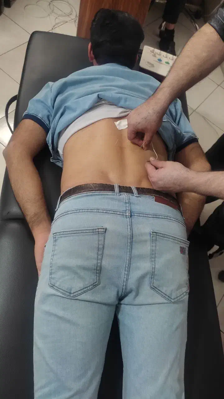 همایش نبض شناسی پیشرفته|گردهمایی و همایش|شهریار, شهریار|دیوار