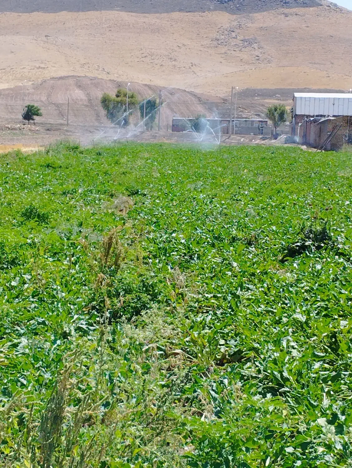 لوله بارانی با اتصالات  کامل|عمده‌فروشی|کوهدشت, |دیوار