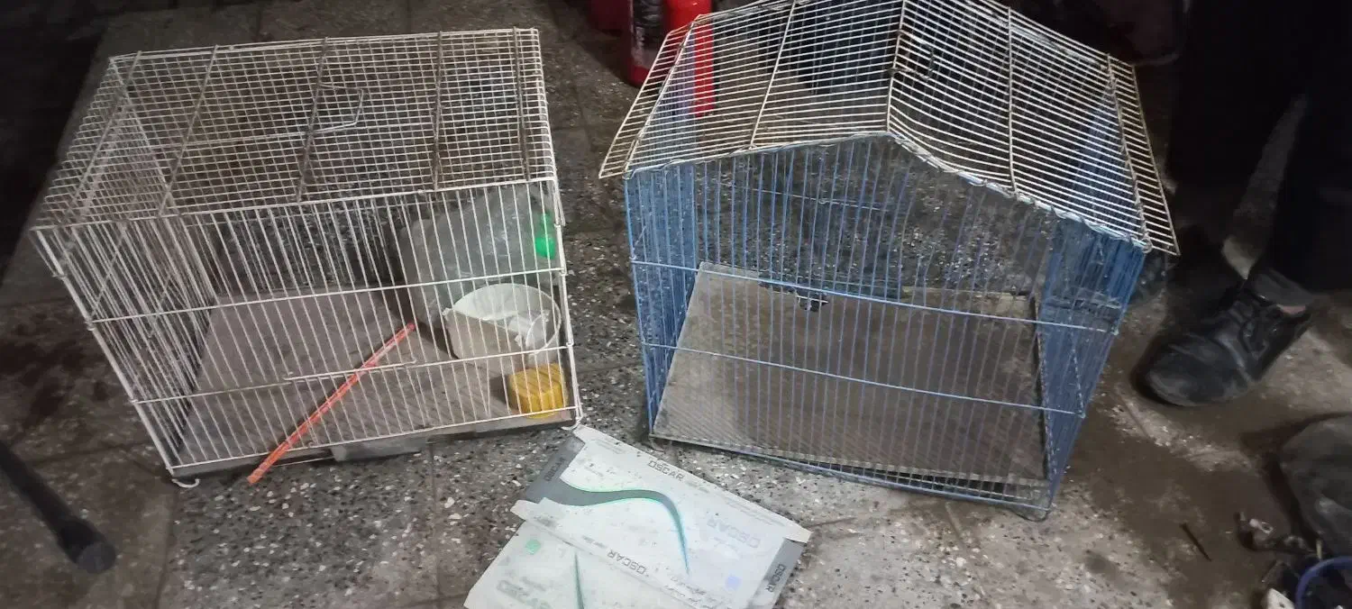 قفس پرنده|لوازم جانبی حیوانات|تربتحیدریه, مظفریه|دیوار