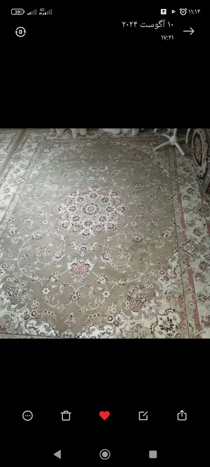 دو عدد فرش ۱۲متری|فرش|رضویه, |دیوار