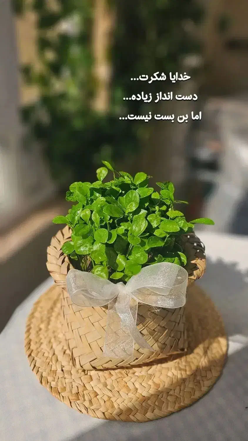 وام خانگی|خدمات نظافت|شیراز, فرگاز|دیوار