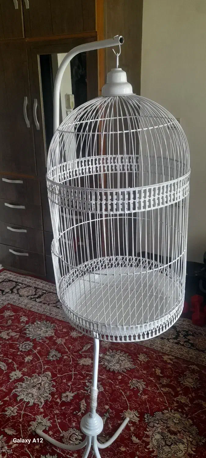 قفس پرنده|لوازم جانبی حیوانات|رویان, |دیوار