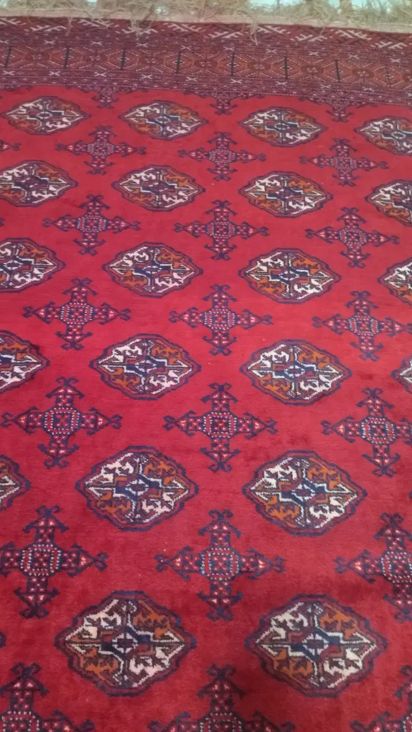 فرش ترکمنی دست بافت|فرش|کردکوی, |دیوار