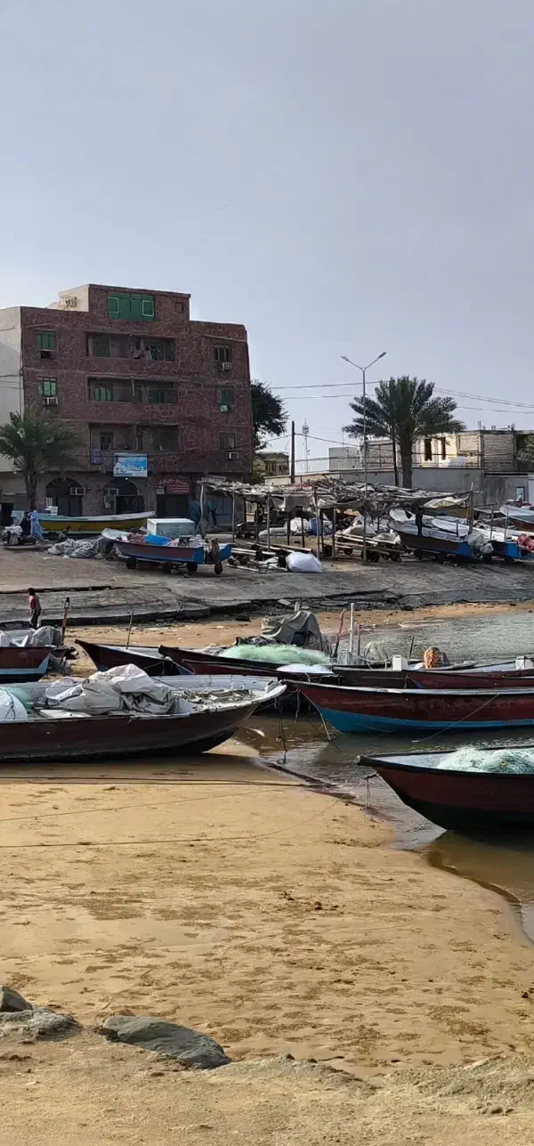 اجاره سوئیت|اجارهٔ کوتاه‌مدت آپارتمان و سوئیت|کنارک, |دیوار