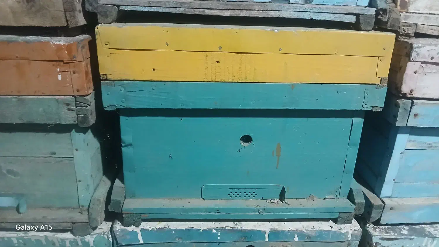 کندو خالی در حد|لوازم جانبی حیوانات|صحنه, |دیوار