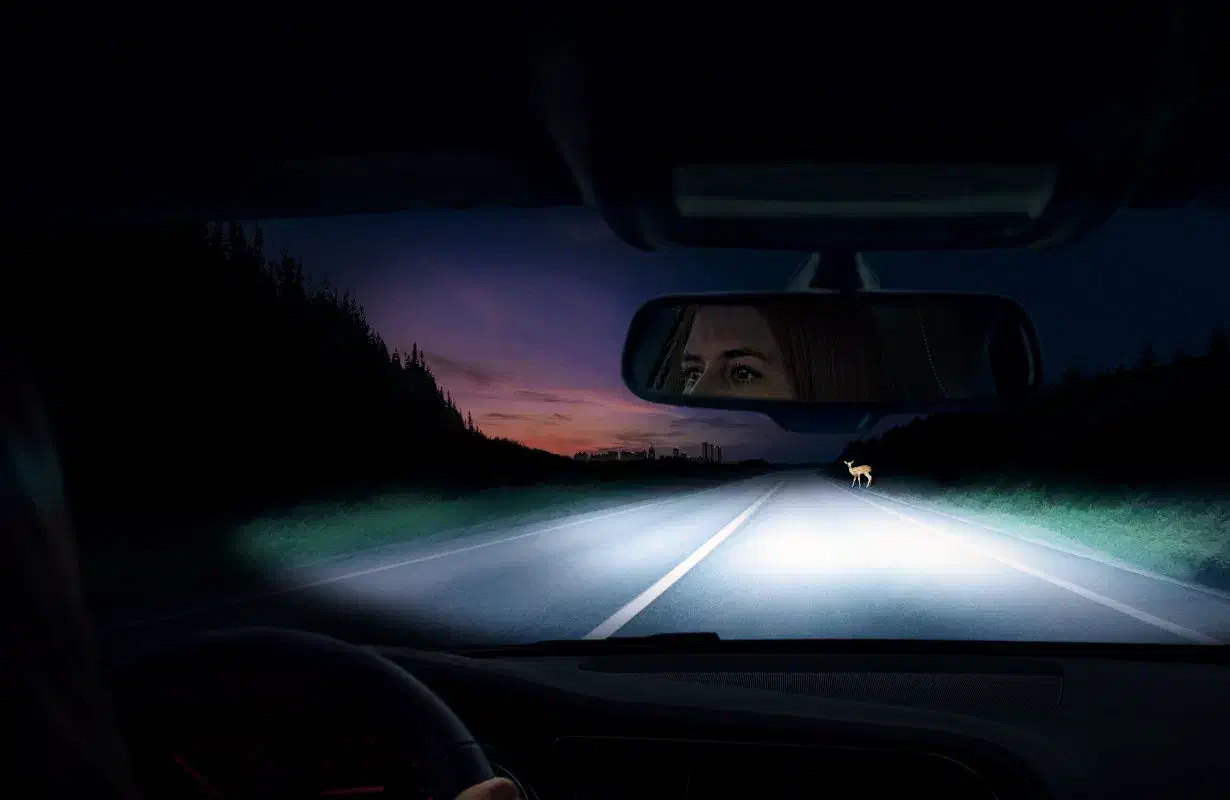 انواع لامپ تقویتی چراغ با دکتر چراغ|خدمات موتور و ماشین|دزفول, |دیوار