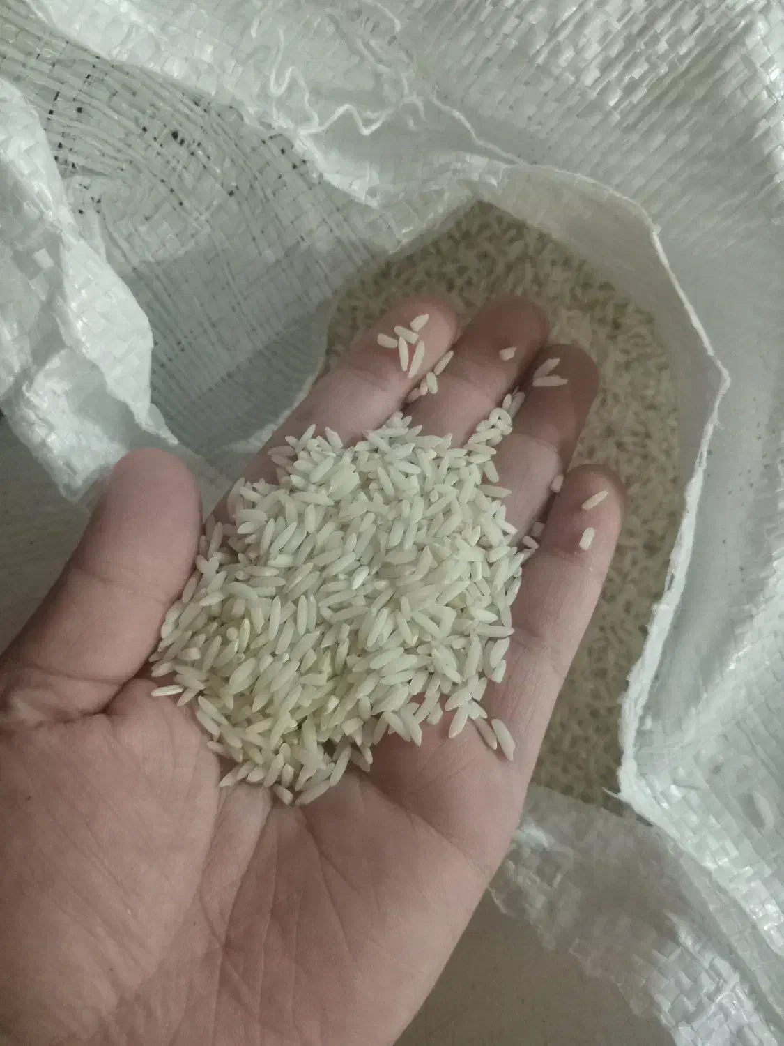 برنج|خوردنی و آشامیدنی|رشت, آب و برق|دیوار