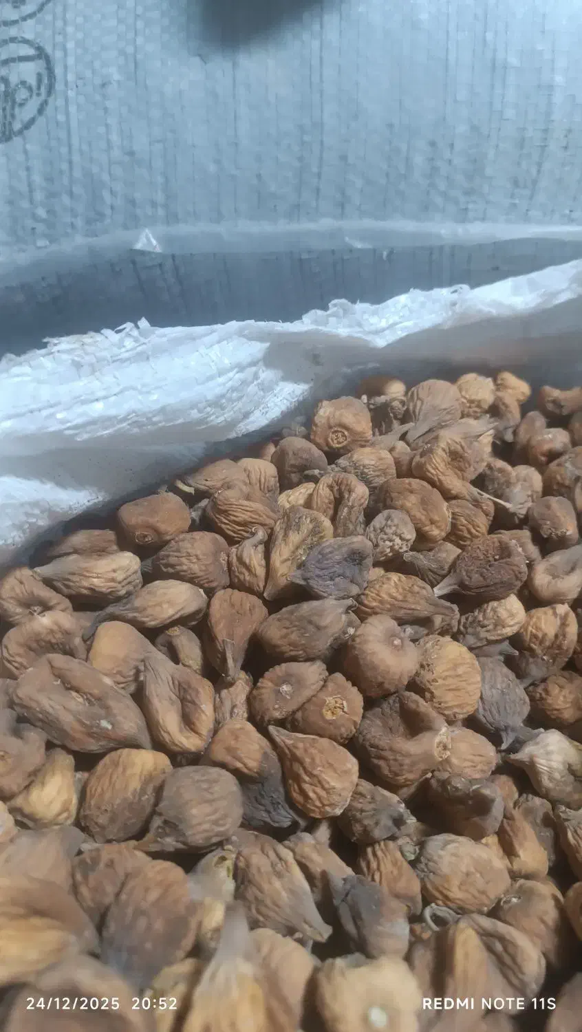 انجیر|خوردنی و آشامیدنی|کرمان, |دیوار