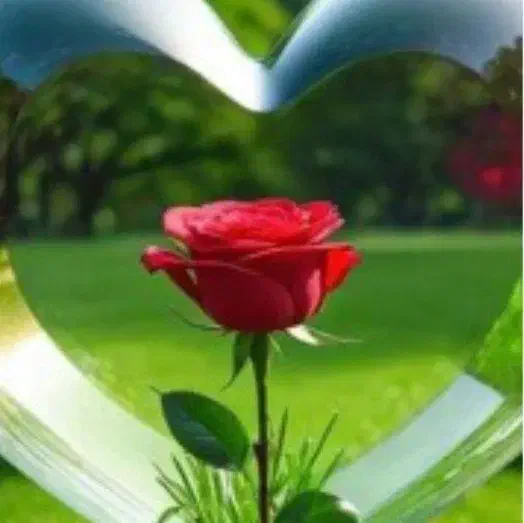 نظافت چی خانم و آقا|خدمات نظافت|خرم‌آباد, |دیوار