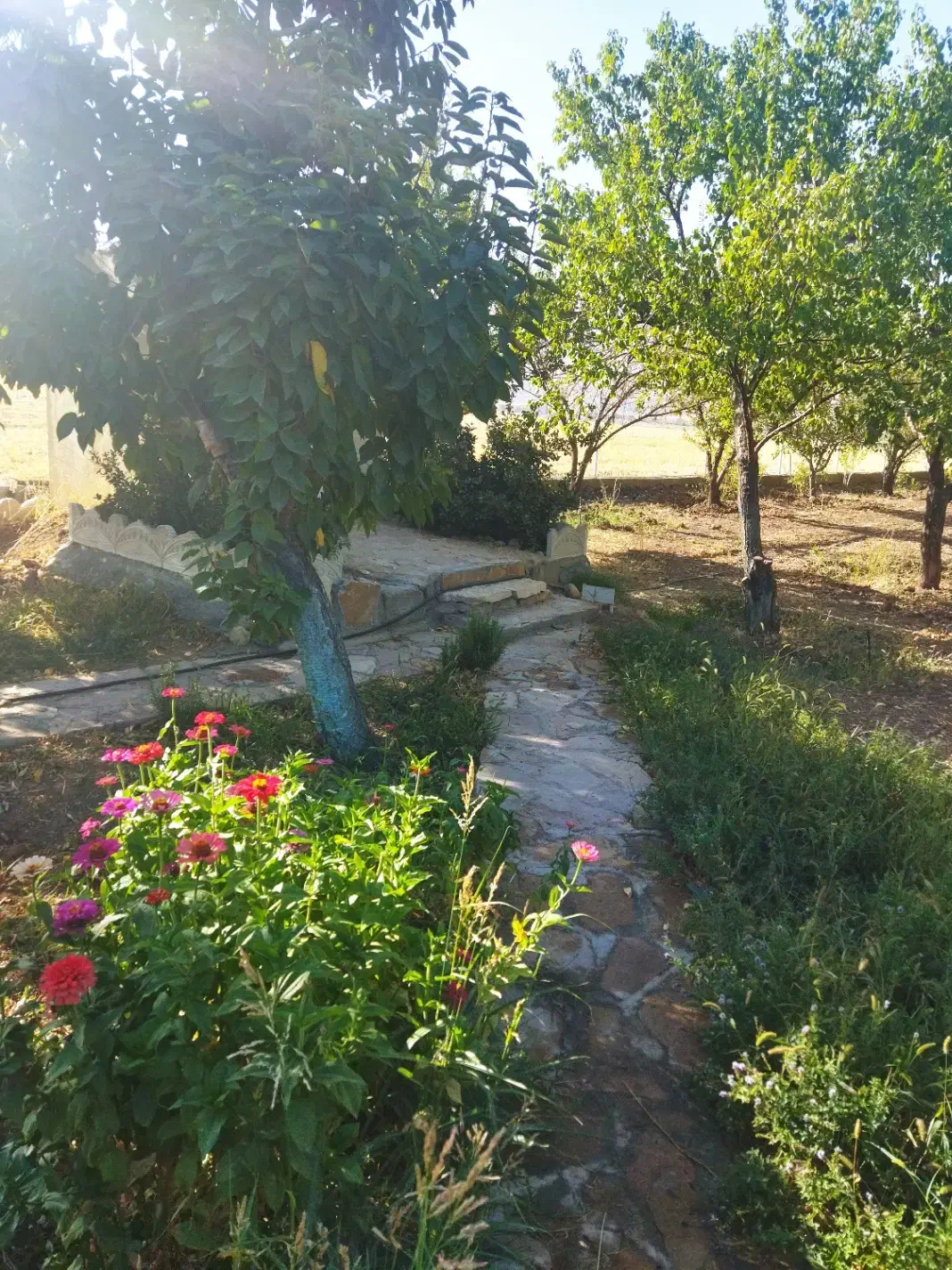 فروش باغ|فروش خانه و ویلا|بیلوار, |دیوار