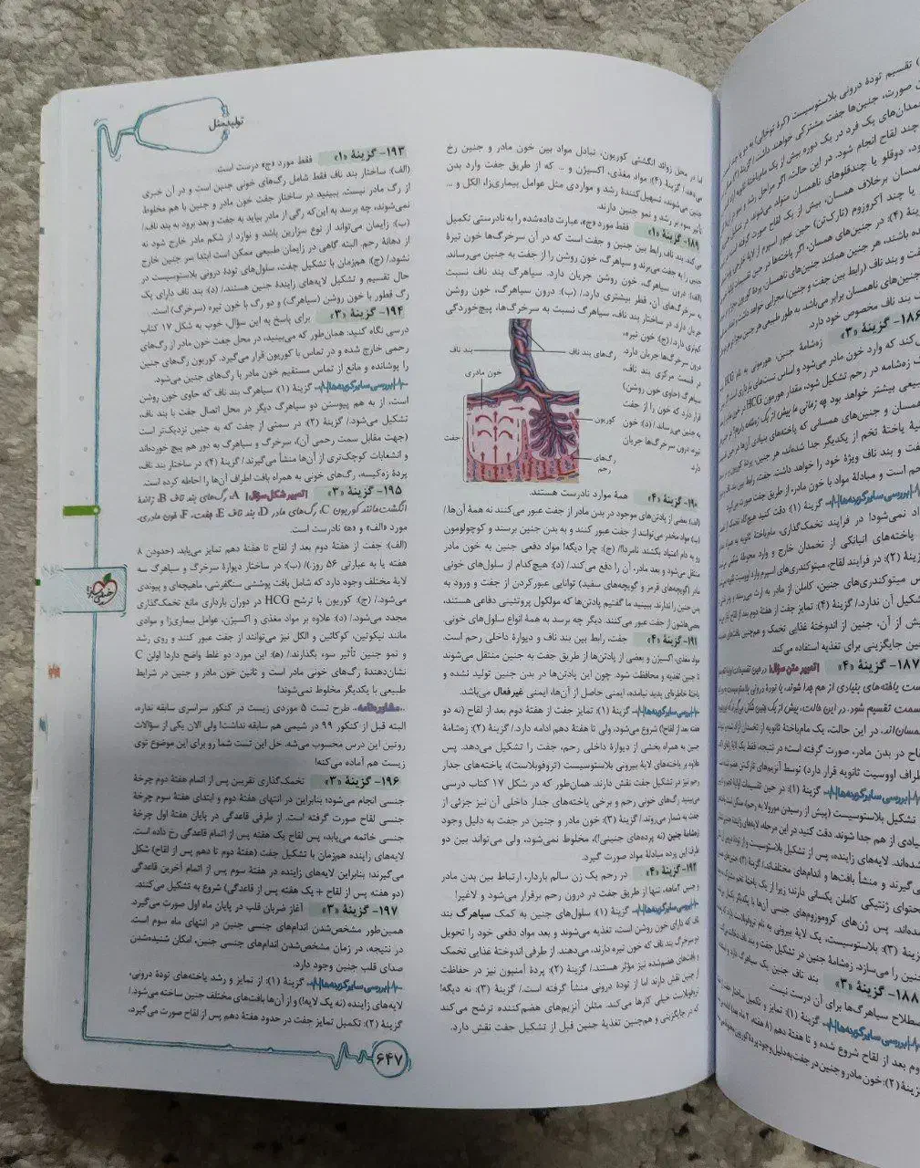 کتاب خیلی سبز زیست شناسی یازدهم به همراه جزوه زیست|کتاب و مجله آموزشی|شیراز, شهرک استقلال|دیوار