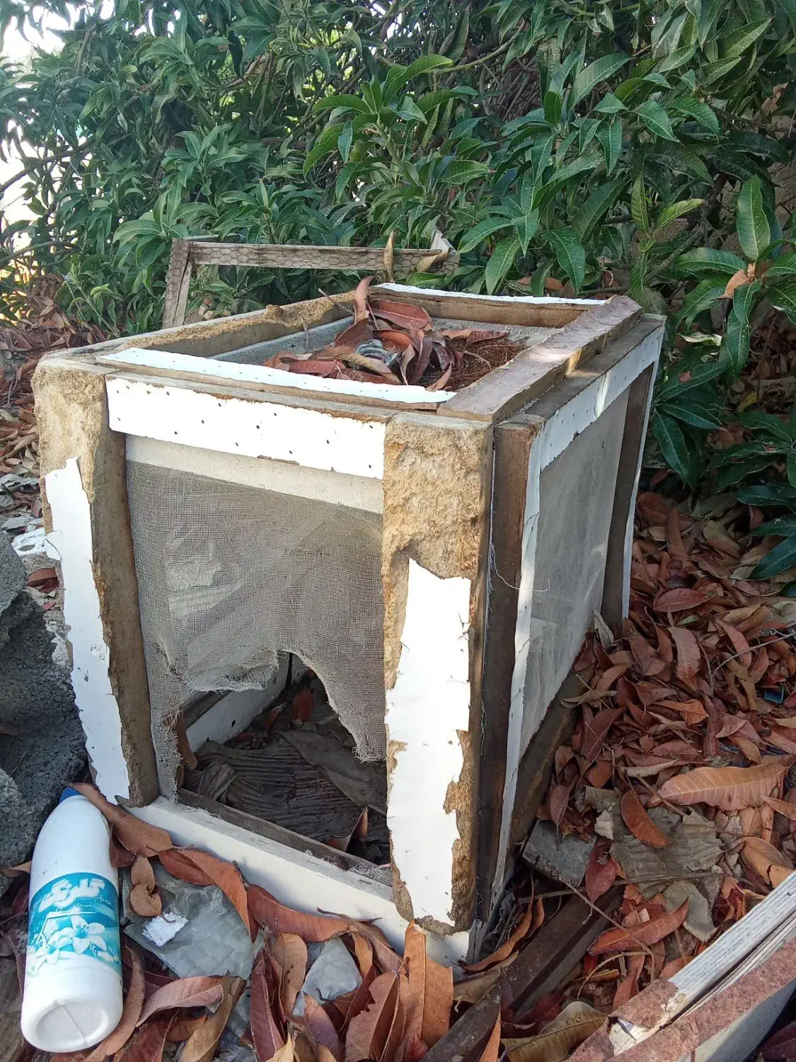 یک قفس چوبی بزرگ سالم چندتاجفکن بایددستی|لوازم جانبی حیوانات|بندرعباس, |دیوار