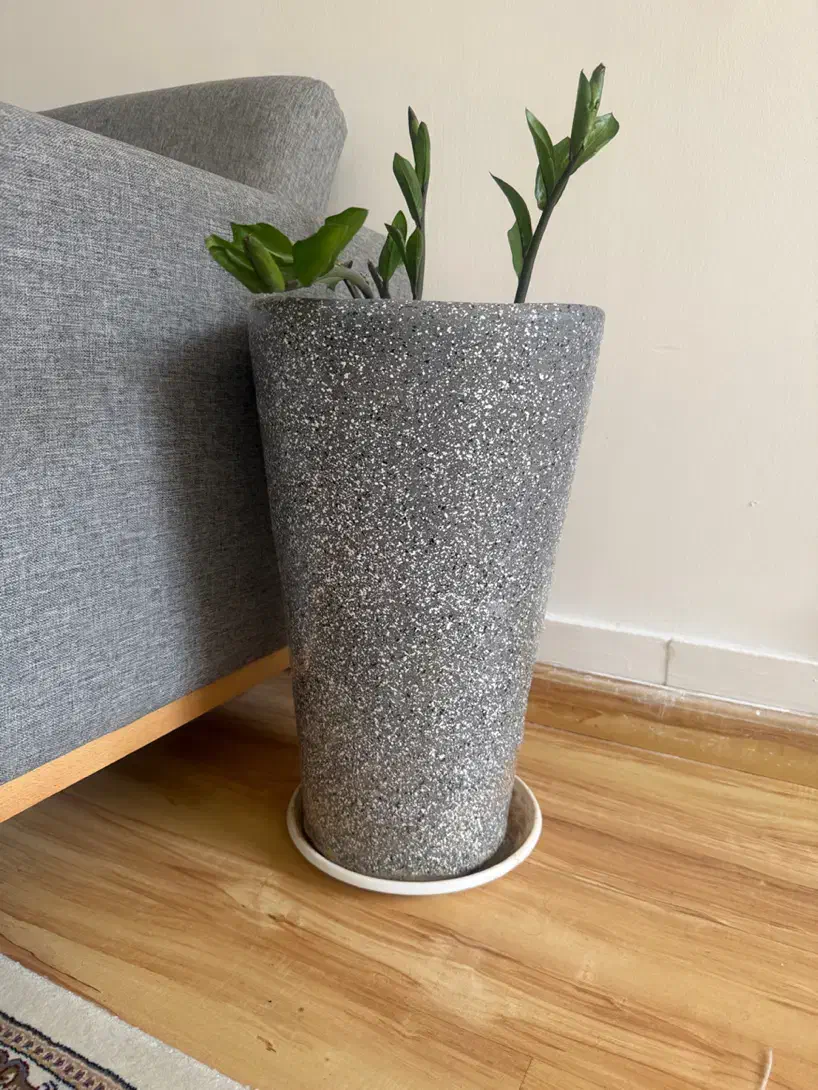 گلدان|گل و گیاه طبیعی|مشهد, وکیل‌آباد|دیوار