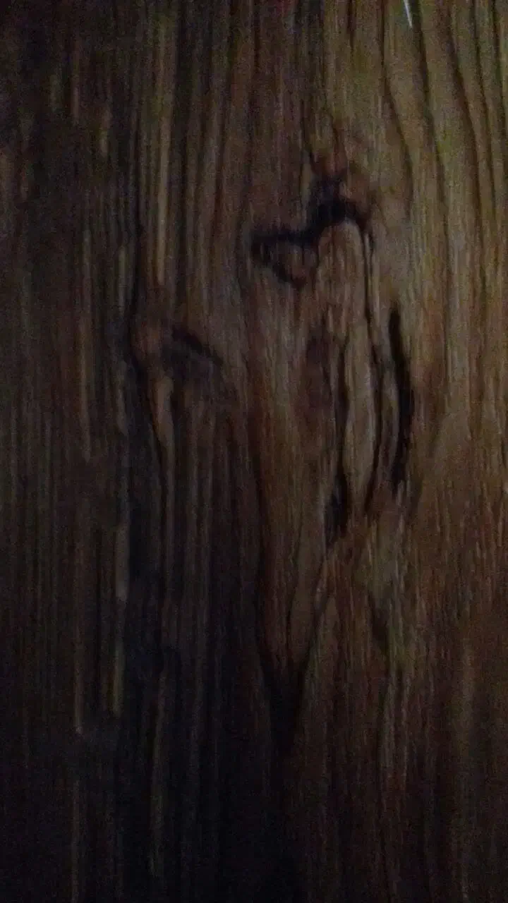 درب چوبی دولنگه وتک لنگه|مصالح و تجهیزات ساختمان|هشتگرد, شهرک ولیعصر (مهستان)|دیوار