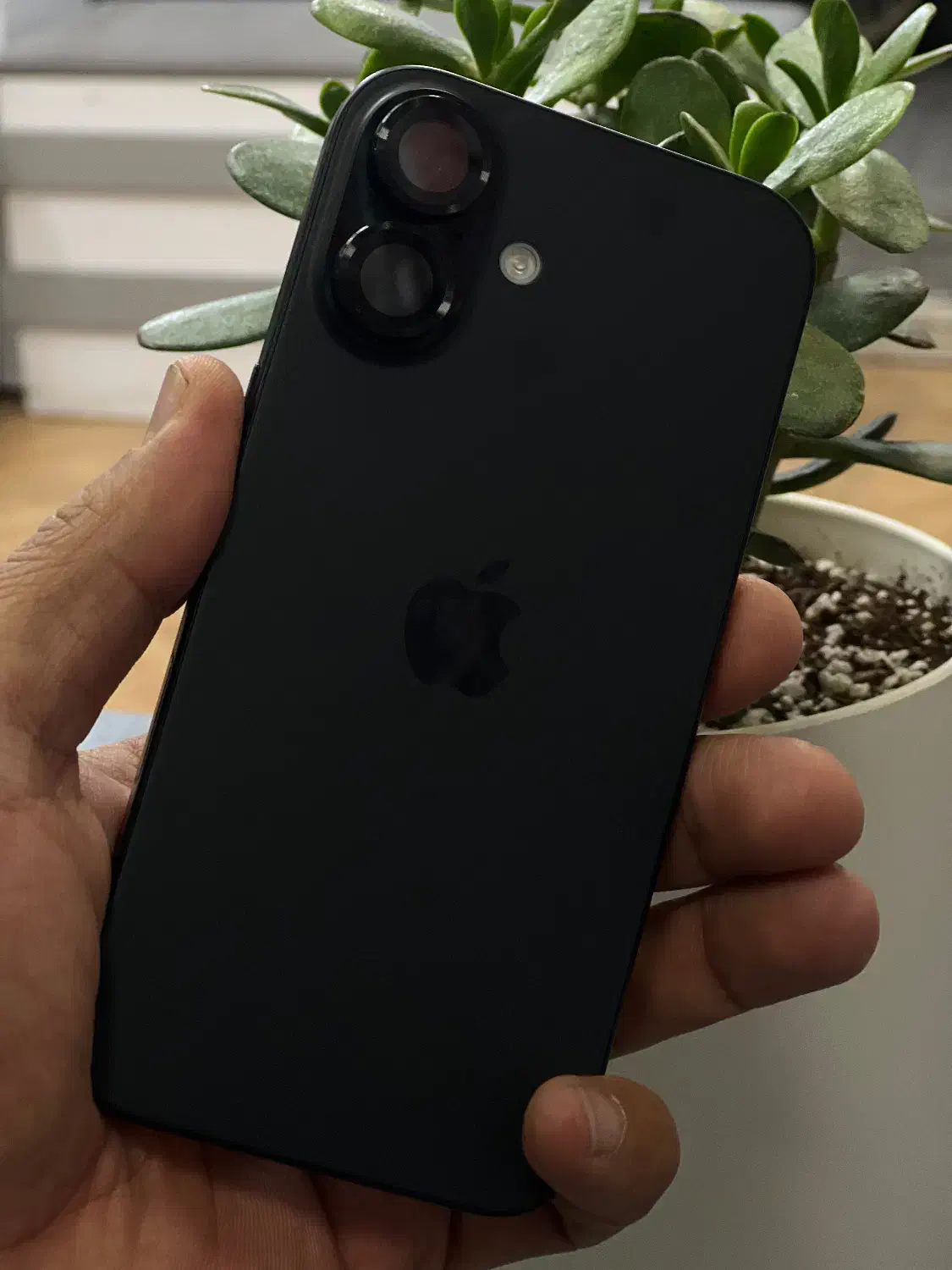 ایفون۱۶نرمال۲۵۶|موبایل|کرمان, |دیوار