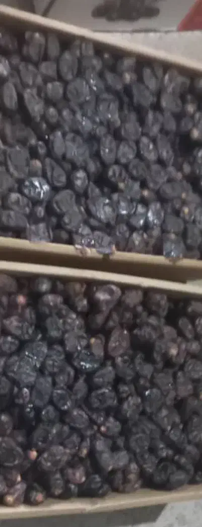 مضافتی فله موجود می باشد|خوردنی و آشامیدنی|دلگان, |دیوار