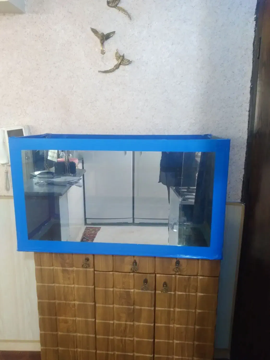 اکواریوم|ماهی|ساوه, |دیوار