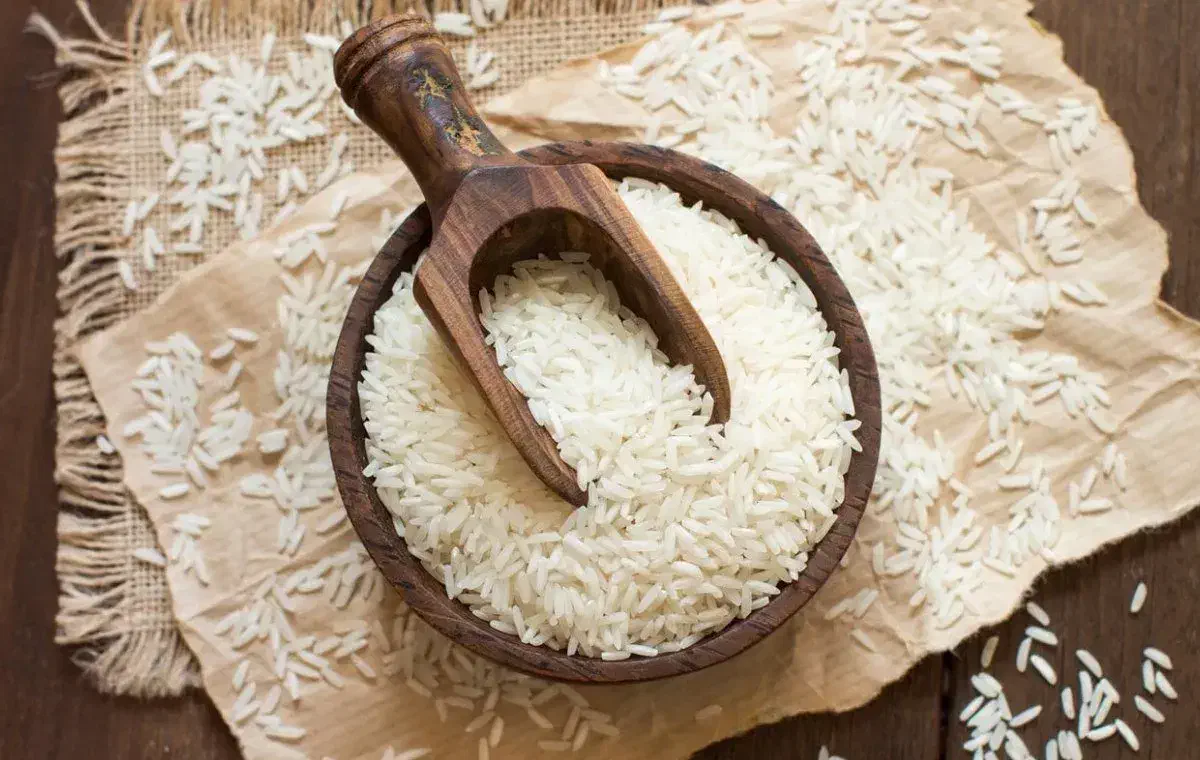 روغن و برنج|خوردنی و آشامیدنی|مشهد, محمدآباد|دیوار