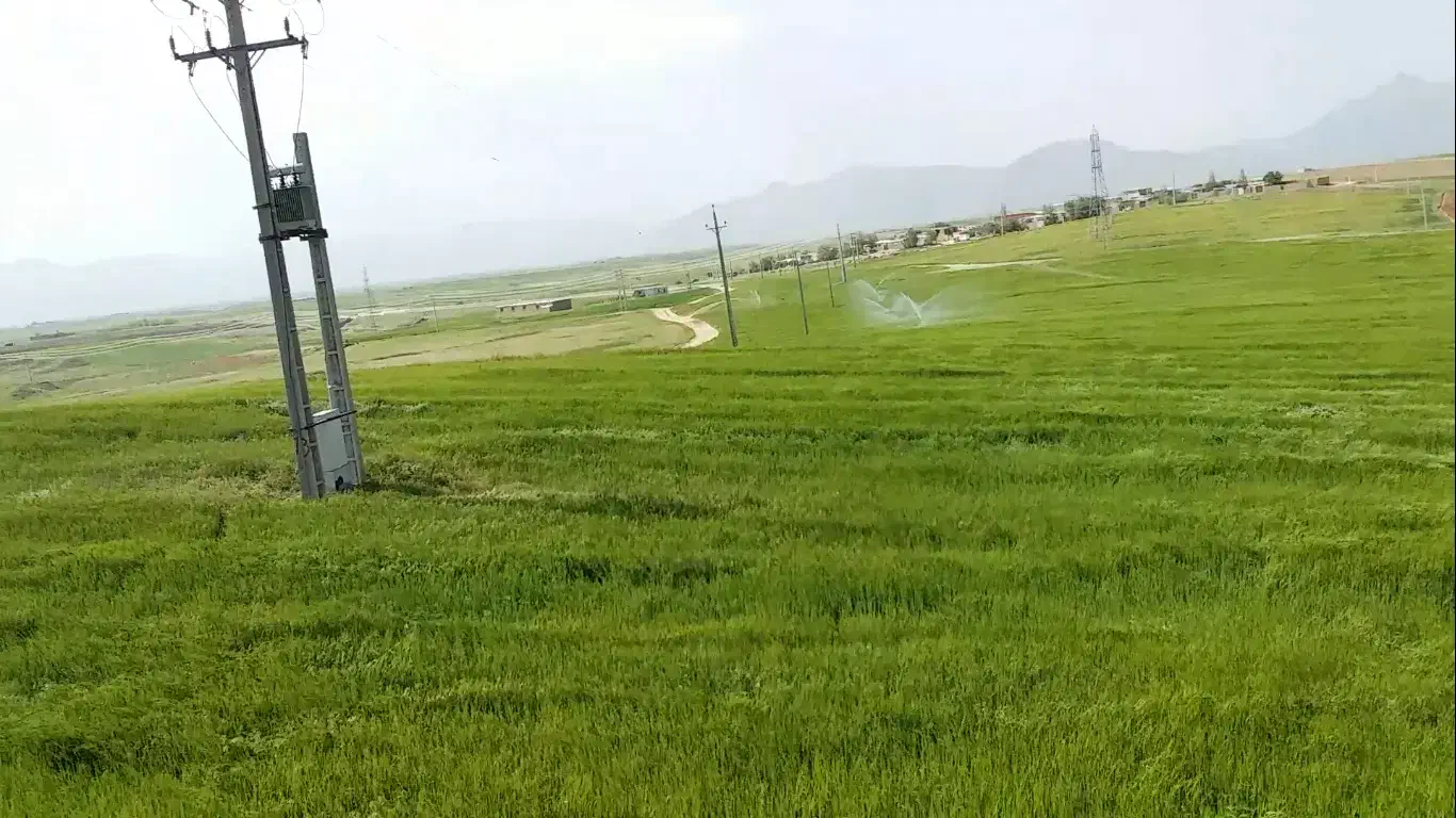 فروش ۱۲ هکتار زمین زراعی آبی برقی|فروش دفتر صنعتی، کشاورزی، تجاری|قروه, |دیوار