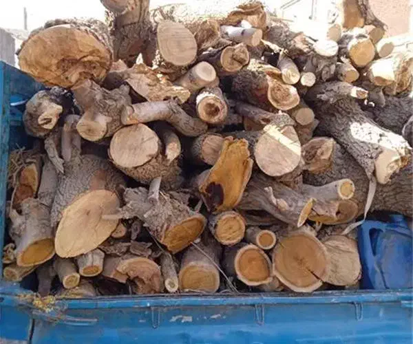 خریدار انواع چوب به صورت نقدی|خدمات باغبانی و درختکاری|بندر انزلی, شهر صنعتی انزلی|دیوار