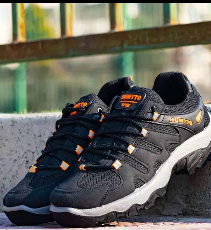 کفش|کیف، کفش، کمربند|مرند, |دیوار