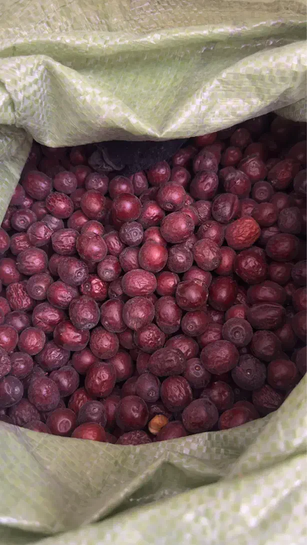 عناب دارویی|خوردنی و آشامیدنی|مشهد, آبکوه|دیوار