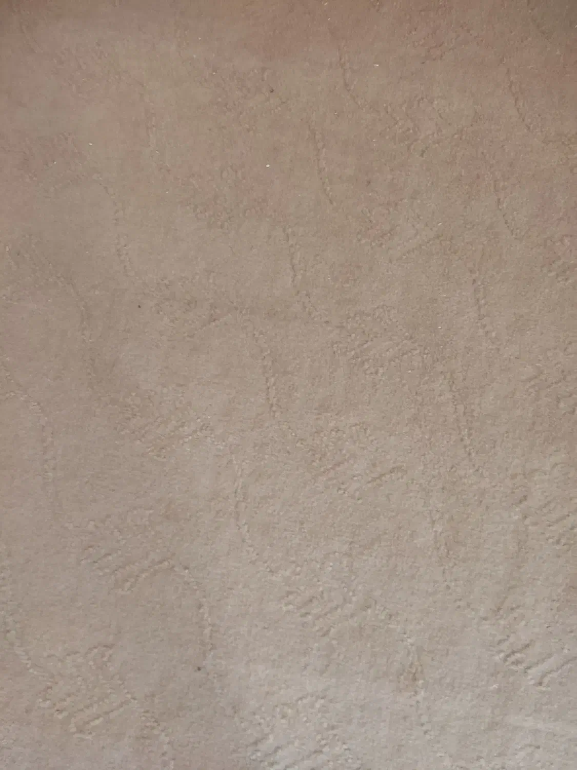 موکت ۲۱ متری|فرش|فلاورجان, |دیوار