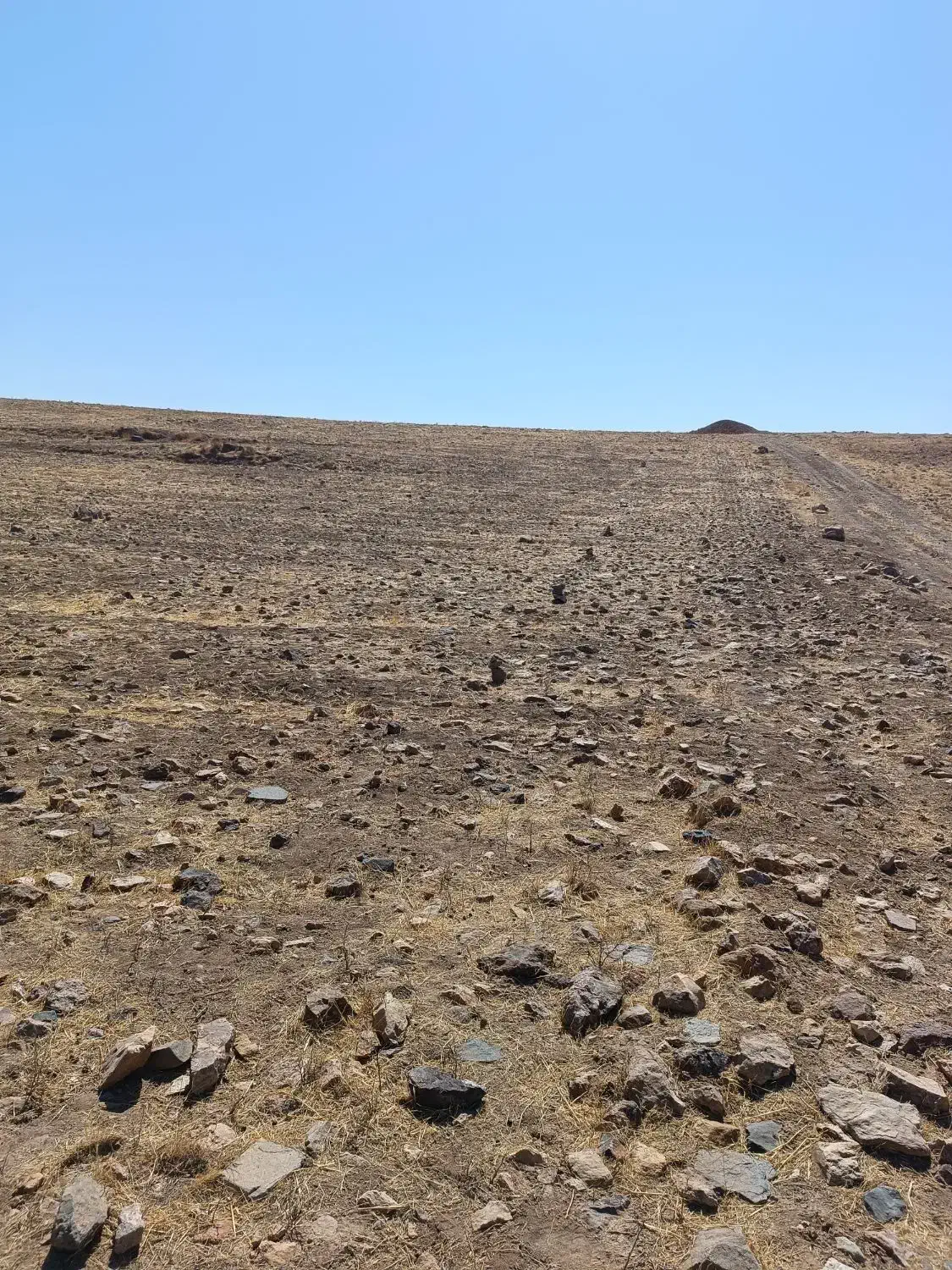 زمین حاشیه جاده زنجان به روستای همایون|فروش زمین و ملک کلنگی|زنجان, |دیوار