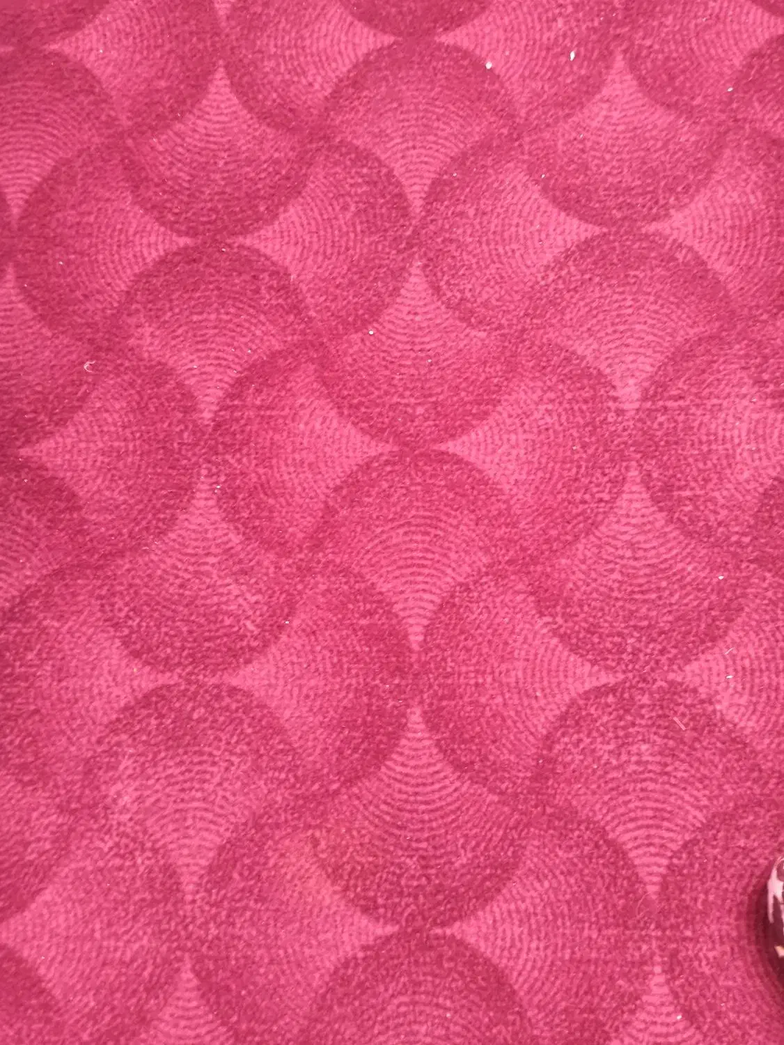 موکت|موکت|قزوین, |دیوار