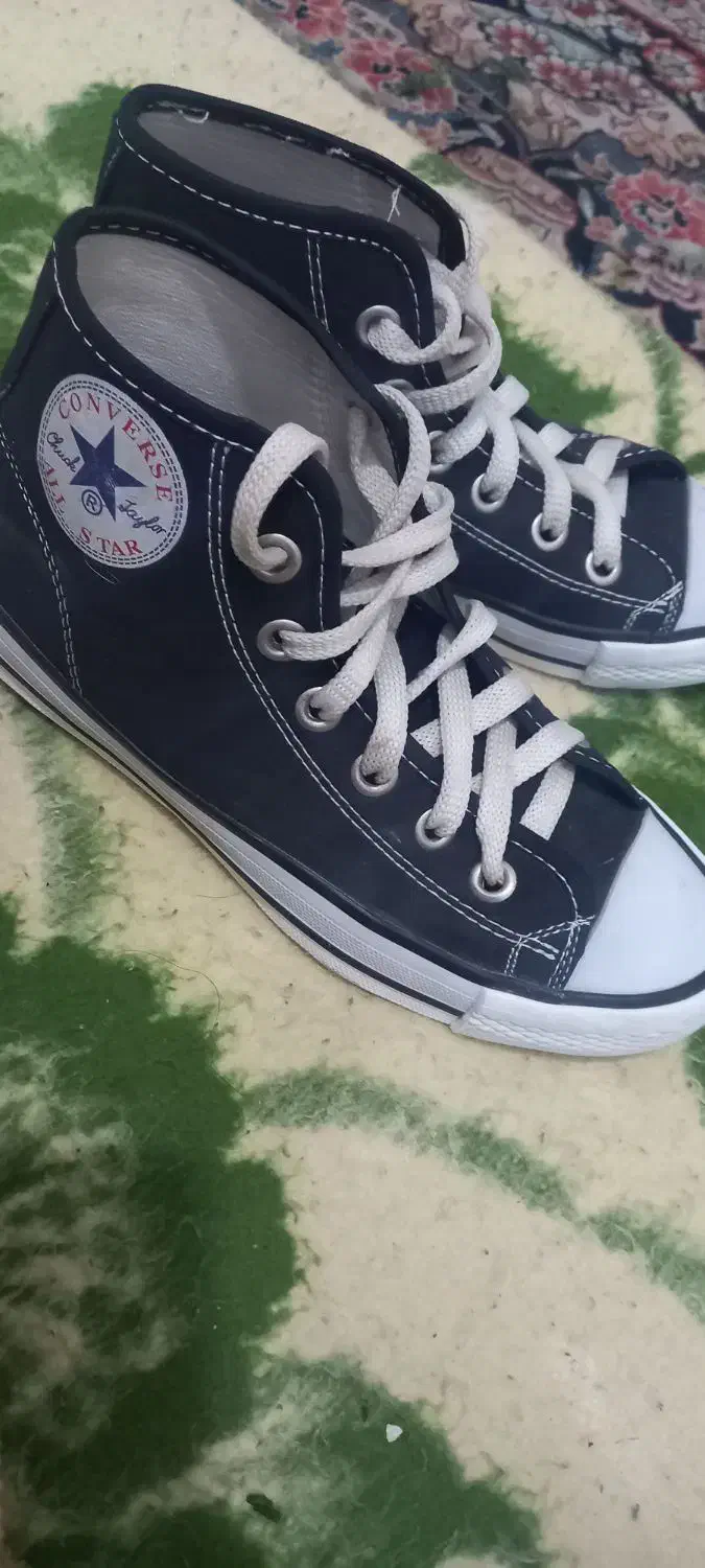 کفش|کیف، کفش، کمربند|اهواز, زندوکیلی|دیوار