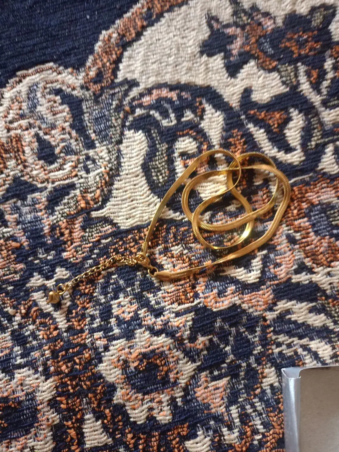 زنجیر استیل رنگ ثابت|بدلیجات|تربت جام, میان جام|دیوار